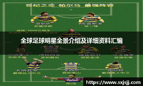 全球足球明星全景介绍及详细资料汇编